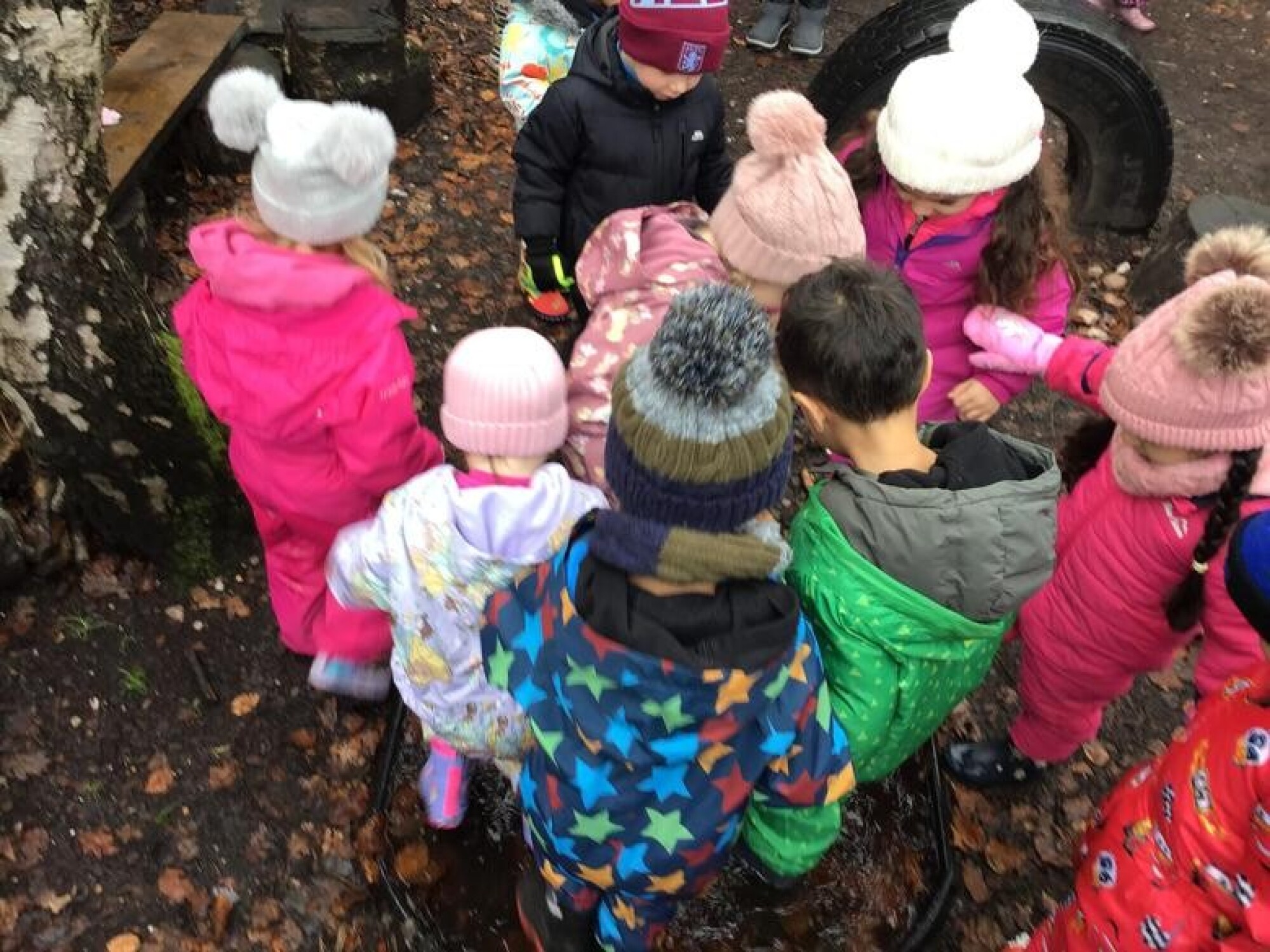 053a7718 da8c 4d4e ac90 c8be05954ec0 1x1