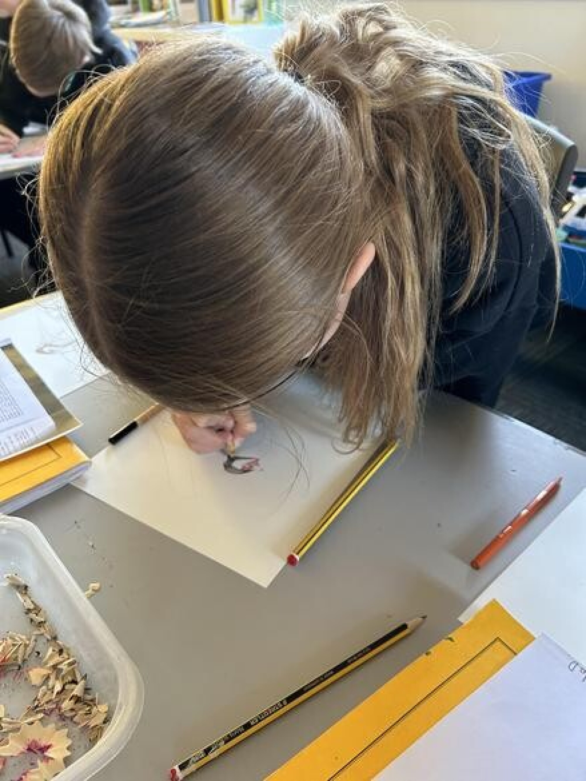 3162c940 7e69 4ad2 b1ee fb6f16f79a2b 1x1