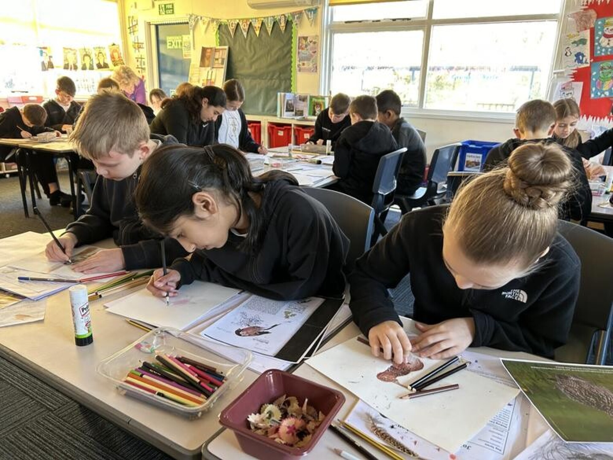 650baca4 2a64 4be0 b447 b2b9a8f4518d 1x1