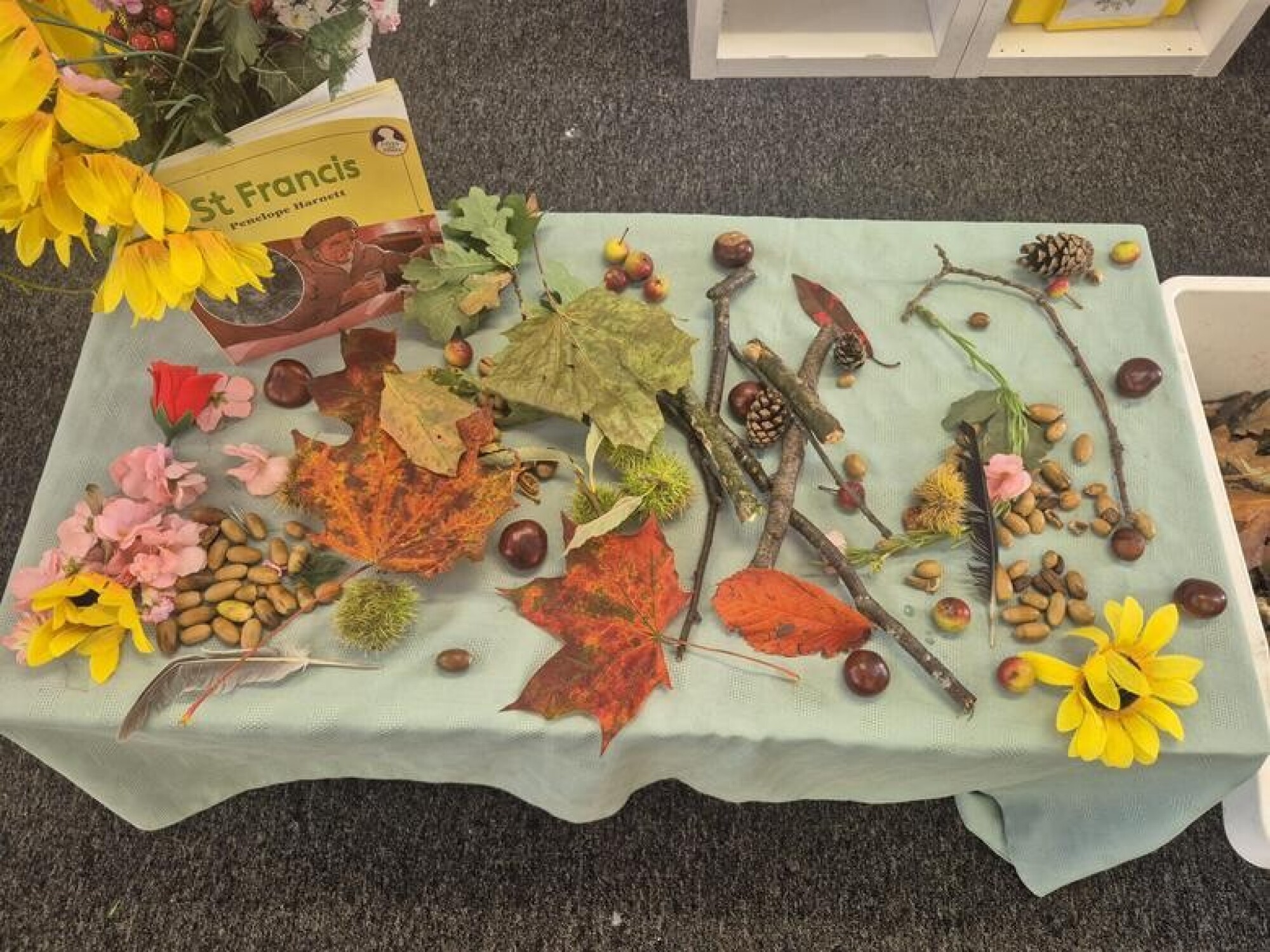 ac19be5e e89f 4b43 bea0 20854332b427 1x1