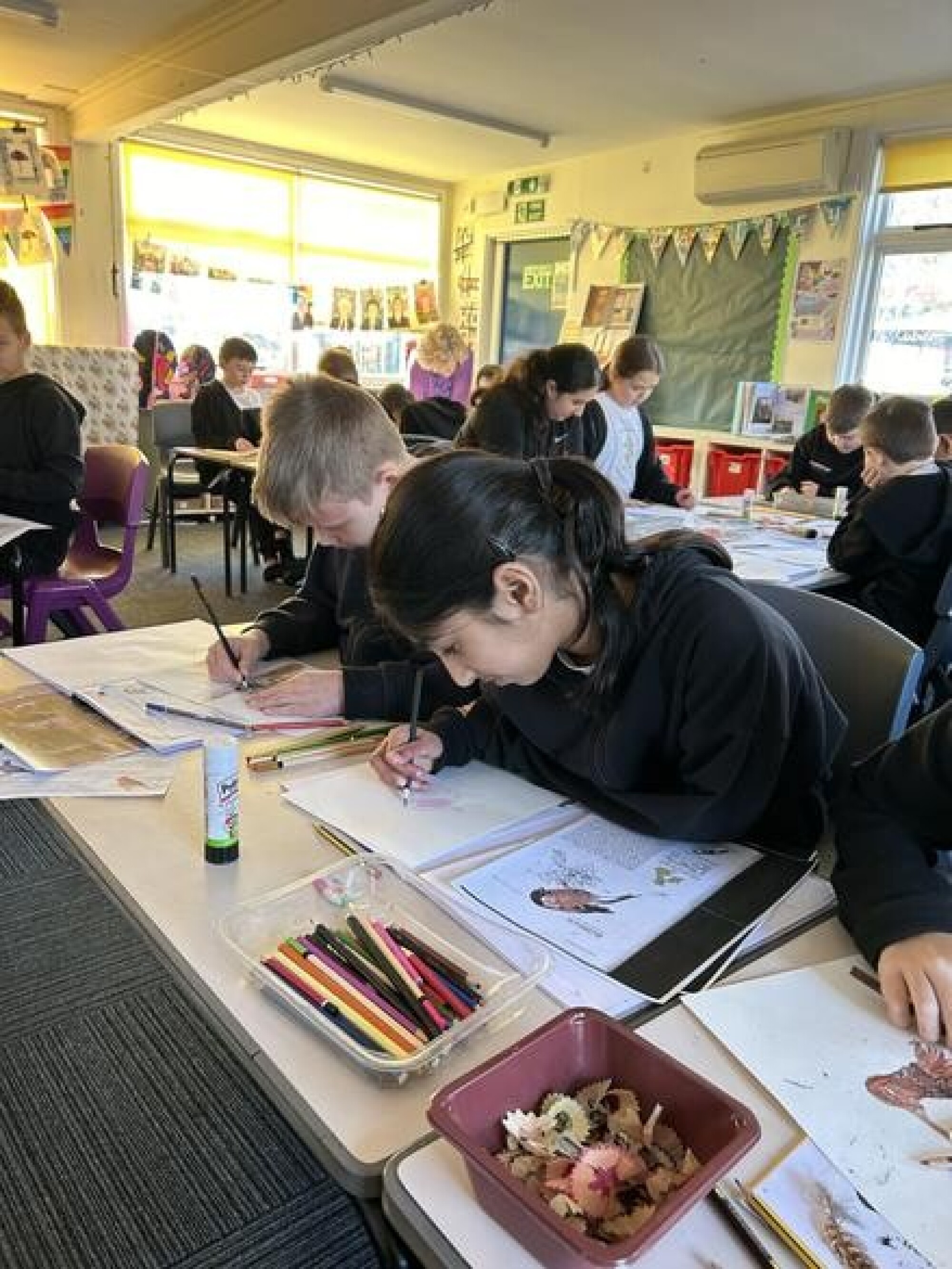 c9912643 e424 4144 918d b286879d4e52 1x1