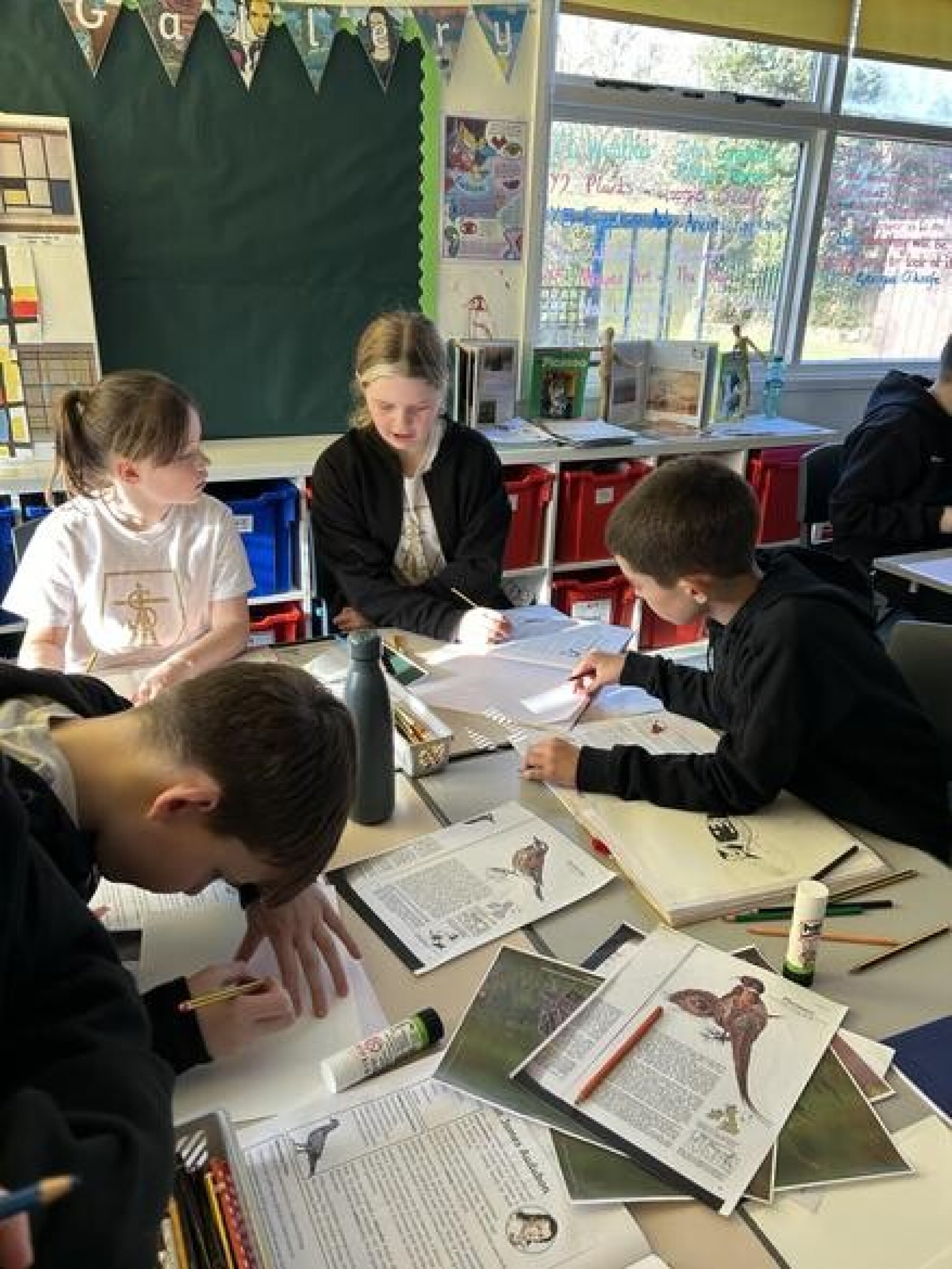 f339374f c1a2 450e ae23 5879c6545dc4 1x1