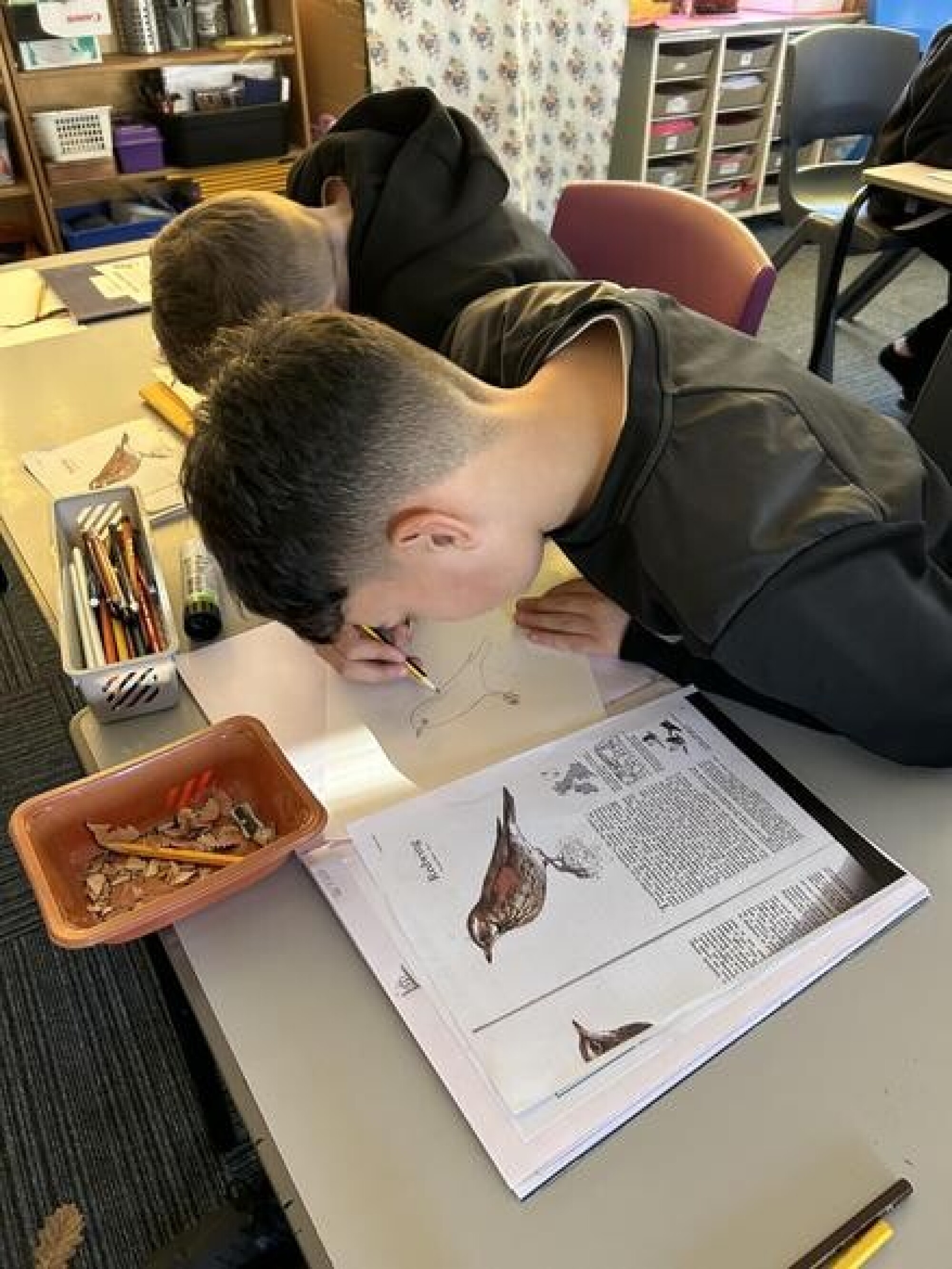 f5055c7b 51d4 4bd4 a751 7d6fc09207f9 1x1