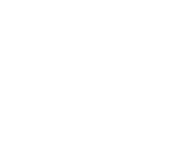 Vision & Values Image